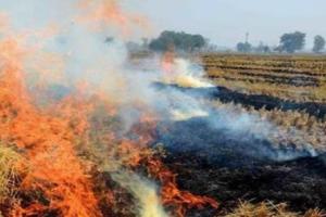 ਹਰਿਆਣਾ ਸਰਕਾਰ ਨੇ ਪ੍ਰਦੂਸ਼ਣ ਨਾਲ ਨਜਿੱਠਣ ਲਈ ਵਿਸ਼ੇਸ਼ ਤਿਆਰੀਆਂ ਸ਼ੁਰੂ