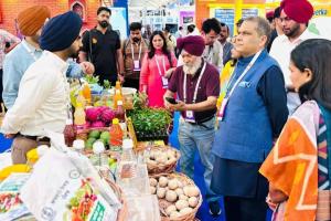 ਮਾਨ ਸਰਕਾਰ ਦਾ ਪਰਿਵਰਤਨਸ਼ੀਲ ਬਦਲਾਅ: ਪੰਜਾਬ ਵਿੱਚ ਫੂਡ ਪ੍ਰੋਸੈਸਿੰਗ ਨੇ ਵਧਾਈ ਕਿਸਾਨਾਂ ਦੀ ਆਮਦਨ, ਪੈਦਾ ਕੀਤੇ ਨਵੇਂ ਰੁਜ਼ਗਾਰ ਦੇ ਮੌਕੇ