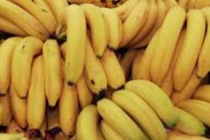  ਰੂਸ ਨੇ ਭਾਰਤ ਨਾਲ ਇੱਕ ਵੱਡਾ ਸੌਦਾ ਕੀਤਾ,ਸਾਲਾਨਾ 300,000-500,000 ਮੀਟ੍ਰਿਕ ਟਨ ਕੇਲੇ ਖਰੀਦਣ ਦੀ ਯੋਜਨਾ ਦਾ ਐਲਾਨ ਕੀਤਾ