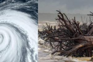 ਆਂਧਰਾ ਪ੍ਰਦੇਸ਼, ਤਾਮਿਲਨਾਡੂ, ਪੱਛਮੀ ਬੰਗਾਲ ਅਤੇ ਓਡੀਸ਼ਾ 'ਚ ਚੱਕਰਵਾਤੀ ਤੂਫਾਨ ਦੀ ਚੇਤਾਵਨੀ ਜਾਰੀ ਕੀਤੀ ਗਈ ਹੈ