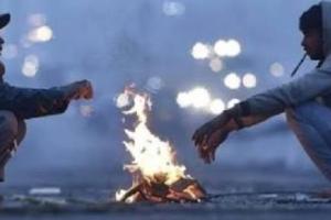 ਭੋਪਾਲ, ਇੰਦੌਰ ਸਮੇਤ ਮੱਧ ਪ੍ਰਦੇਸ਼ ਦੇ 20 ਜ਼ਿਲ੍ਹਿਆਂ ਵਿੱਚ ਸੀਤ ਲਹਿਰ ਦਾ ਪ੍ਰਭਾਵ ਹੈ