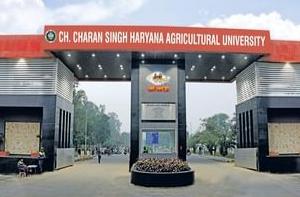 ਹਰਿਆਣਾ ਕਿਸਾਨ ਯੂਨੀਵਰਸਿਟੀ (HAU) ਨੇ ਪਾਣੀ ਸੰਭਾਲ ਵਿੱਚ ਆਪਣੀਆਂ ਸ਼ਾਨਦਾਰ ਪ੍ਰਾਪਤੀਆਂ ਲਈ ਪ੍ਰਸਿੱਧੀ ਪ੍ਰਾਪਤ ਕੀਤੀ ਹੈ
