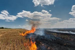 ਕੇਂਦਰ ਸਰਕਾਰ ਨੇ ਕੀਤੀ ਮਾਨ ਸਰਕਾਰ ਦੀ ਪ੍ਰਸ਼ੰਸਾ,ਜਿਸ ਵਿੱਚ ਪੰਜਾਬ ਸਰਕਾਰ ਦੀ ਸਫਲਤਾ ਨੂੰ ਕੀਤਾ ਉਜਾਗਰ 