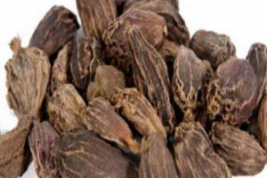 ਮੋਟੀ ਇਲਾਇਚੀ ਦੇ ਕਈ ਸਿਹਤਮੰਦ ਫਾਇਦੇ