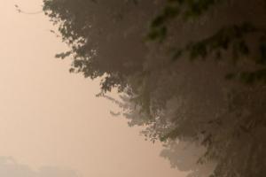 ਤੇਜ਼ ਠੰਢ ਅਤੇ ਸੰਘਣੀ ਧੁੰਦ ਨੇ ਦਿੱਲੀ ਦਾ ਮੌਸਮ ਹੋਰ ਵੀ ਖਰਾਬ ਕਰ ਦਿੱਤਾ