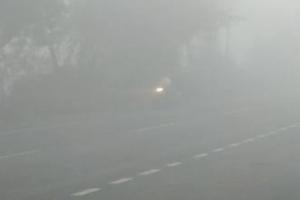 ਹਰਿਆਣਾ ਵਿੱਚ ਸੀਜ਼ਨ ਦੀ ਪਹਿਲੀ ਧੁੰਦ, ਧੁੰਦ ਨੇ ਵਸਨੀਕਾਂ ਦੀਆਂ ਮੁਸ਼ਕਲਾਂ ਵਿੱਚ ਵਾਧਾ ਕੀਤਾ