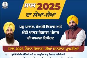 ਮਾਨ ਸਰਕਾਰ ਨੇ ਪੇਂਡੂ ਅਰਥਵਿਵਸਥਾ ਦੀ ਰੀੜ੍ਹ ਦੀ ਹੱਡੀ ਨੂੰ ਕੀਤਾ ਮਜ਼ਬੂਤ : ਹੜ੍ਹ ਸੰਕਟ ਦੌਰਾਨ ਪਸ਼ੂਆਂ ਨੂੰ ਬਚਾਉਣ ਲਈ ਵਿਭਾਗ 24 ਘੰਟੇ ਤਾਇਨਾਤ, 492 ਟੀਮਾਂ, 3.19 ਲੱਖ ਪਸ਼ੂਆਂ ਦਾ ਕੀਤਾ ਇਲਾਜ