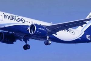 ਇੰਡੀਗੋ ਏਅਰਲਾਈਨ ਨੇ 7 ਦਸੰਬਰ 2025 ਨੂੰ ਦੇਸ਼ ਭਰ ਵਿੱਚ ਲਗਭਗ 650 ਉਡਾਣਾਂ ਰੱਦ ਕੀਤੀਆਂ ਹਨ