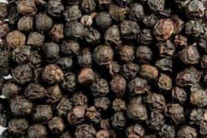 ਕਾਲੀ ਮਿਰਚ ਪਾਉਣ ਨਾਲ ਸਰੀਰ ਨੂੰ ਹੁੰਦੇ ਹਨ ਕਈ ਫਾਇਦੇ