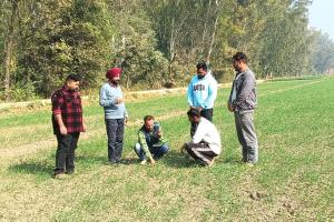 ਮੁੱਖ ਖੇਤੀਬਾੜੀ ਅਫ਼ਸਰ ਵੱਲੋਂ ਪਿੰਡ ਕੋਟੜਾ ਕਲਾਂ, ਭੀਖੀ, ਢੈਪਈ ਤੇ ਜੱਸੜਵਾਲ ਵਿਚ ਕਣਕ ਦੀ ਫ਼ਸਲ ਦਾ ਨਿਰੀਖਣ