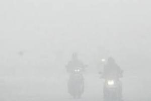 ਪੰਜਾਬ ਅਤੇ ਚੰਡੀਗੜ੍ਹ ਵਿੱਚ ਠੰਢ ਦਾ ਪ੍ਰਕੋਪ ਵਧ ਰਿਹਾ ਹੈ,ਮੌਸਮ ਵਿਭਾਗ ਨੇ ਚੇਤਾਵਨੀ ਜਾਰੀ ਕੀਤੀ