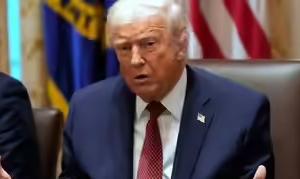 ਅਮਰੀਕੀ ਰਾਸ਼ਟਰਪਤੀ ਡੋਨਾਲਡ ਟਰੰਪ ਨੇ ਕਿਹਾ ਕਿ ਅਮਰੀਕਾ ਭਾਰਤ ਤੋਂ ਆਉਣ ਵਾਲੇ ਚੌਲਾਂ ਅਤੇ ਕੈਨੇਡਾ ਤੋਂ ਆਉਣ ਵਾਲੀ ਖਾਦ 'ਤੇ ਵਾਧੂ ਟੈਰਿਫ ਲਗਾਉਣ 'ਤੇ ਵਿਚਾਰ ਕਰ ਰਿਹਾ ਹੈ