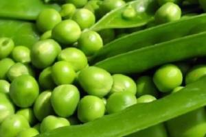 ਕਈ ਬੀਮਾਰੀਆਂ ਤੋਂ ਬਚਾਉਂਦੇ ਹਨ ਹਰੇ ਮਟਰ