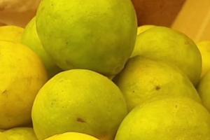 ਨਿੰਬੂਆਂ ਨੂੰ ਲੰਬੇ ਸਮੇਂ ਤੱਕ ਤਾਜ਼ਾ ਰੱਖਣ ਲਈ ਇਹ ਸਧਾਰਨ ਨੁਸਖਾ ਅਜ਼ਮਾਓ,ਹਫ਼ਤਿਆਂ ਤੱਕ ਖਰਾਬ ਨਹੀਂ ਹੋਣਗੇ