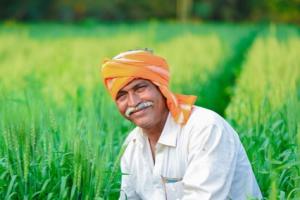 ਹਰਿਆਣਾ ਵਿੱਚ ਇਨ੍ਹਾਂ ਫਸਲਾਂ ਦੀ ਕਾਸ਼ਤ ਲਈ ਇੱਕ ਸਰਕਾਰੀ ਯੋਜਨਾ ਬਣਾਈ ਜਾਵੇਗੀ,ਸੀਐਮ ਸੈਣੀ ਨੇ ਹਰਬਲ ਫੈਡ ਨੂੰ ਦਿੱਤੇ ਨਿਰਦੇਸ਼