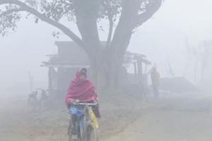 ਉੱਤਰੀ ਭਾਰਤ ਤੋਂ ਆ ਰਹੀਆਂ ਠੰਢੀਆਂ ਹਵਾਵਾਂ ਕਾਰਨ ਬਿਹਾਰ ਵਿੱਚ ਠੰਢ ਵਿੱਚ ਵਾਧਾ ਹੋਣ ਦੀ ਸੰਭਾਵਨਾ ਹੈ