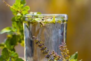 ਤੁਲਸੀ ਦਾ ਪਾਣੀ ਪੀਣਾ ਚਮੜੀ ਲਈ ਬਿਲਕੁਲ ਨੈਚੁਰਲ ਬਿਊਟੀ ਟੌਨਿਕ ਵਾਂਗ ਕੰਮ ਕਰਦਾ ਹੈ