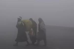 ਪੰਜਾਬ ਅਤੇ ਚੰਡੀਗੜ੍ਹ ਵਿੱਚ ਲੋਹੜੀ ਤੱਕ ਸੰਘਣੀ ਧੁੰਦ ਅਤੇ ਠੰਢੀ ਲਹਿਰ ਦਾ ਸਾਹਮਣਾ ਕਰਨਾ ਪੈ ਰਿਹਾ ਹੈ