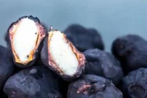 ਸੰਘਾੜੇ ਕੀ ਹਨ?