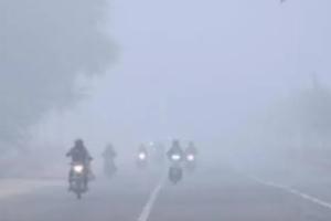 ਉੱਤਰ ਪ੍ਰਦੇਸ਼ ਦੇ ਮੌਸਮ ਵਿਭਾਗ ਨੇ 21 ਜ਼ਿਲ੍ਹਿਆਂ ਵਿੱਚ ਸੰਘਣੀ ਧੁੰਦ ਲਈ ਸੰਤਰੀ ਅਲਰਟ ਜਾਰੀ ਕੀਤਾ ਹੈ