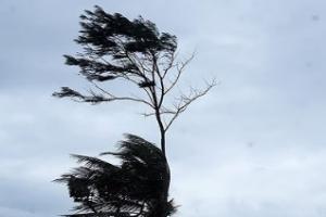 ਪੰਜਾਬ ਅਤੇ ਚੰਡੀਗੜ੍ਹ ਵਿੱਚ ਅੱਜ ਤੋਂ ਤਿੰਨ ਦਿਨਾਂ ਲਈ ਤੇਜ਼ ਉੱਤਰ-ਪੱਛਮੀ ਹਵਾਵਾਂ ਚੱਲਣਗੀਆਂ,ਮੌਸਮ ਖੁਸ਼ਕ ਰਹੇਗਾ