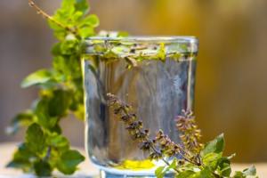 ਸਵੇਰੇ-ਸਵੇਰੇ ਤੁਲਸੀ ਦਾ ਪਾਣੀ ਪੀਣਾ ਸਕਿਨ ਲਈ ਸਿਹਤਮੰਦ