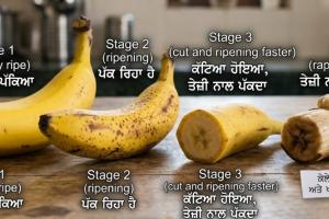 ਕੇਲਾ ਇੱਕ ਅਜਿਹਾ ਫਲ ਹੈ ਜੋ ਕੱਟਣ ਤੋਂ ਬਾਅਦ ਜਾਂ ਘਰ ਲਿਆਉਣ ਤੋਂ ਬਾਅਦ ਬਹੁਤ ਤੇਜ਼ੀ ਨਾਲ ਪੱਕਦਾ ਹੈ