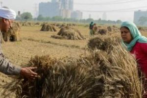 ਹਰਿਆਣਾ ਸਰਕਾਰ ਨੇ ਹਾੜੀ (ਰਬੀ) ਦੀਆਂ ਫਸਲਾਂ ਦੀ ਖਰੀਦ ਲਈ ਤਿਆਰੀਆਂ ਮੁਕੰਮਲ ਕਰ ਲਈਆਂ ਹਨ