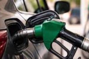 ਪੰਜਾਬ ਵਿਚ ਨਿੱਜੀ ਤੇਲ ਕੰਪਨੀ ਨਾਇਰਾ ਨੇ ਤੇਲ ਦੀਆਂ ਕੀਮਤਾਂ ਵਿਚ ਵਾਧਾ ਕੀਤਾ ਹੈ