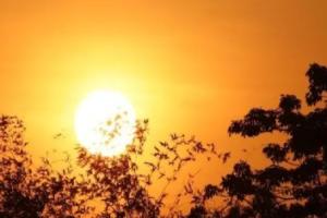 ਹਰਿਆਣਾ ਵਿੱਚ ਤਾਪਮਾਨ 35 ਡਿਗਰੀ ਸੈਲਸੀਅਸ ਤੱਕ ਪਹੁੰਚ ਗਿਆ ਹੈ