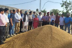 ਪੰਜਾਬ ਸਰਕਾਰ ਕਣਕ ਦਾ ਇਕ-ਇਕ ਦਾਣਾ ਖਰੀਦਣ ਲਈ ਵਚਨਬੱਧ : ਹਲਕਾ ਵਿਧਾਇਕ ਬਲਕਾਰ ਸਿੰਘ 