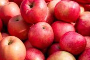 Health Tips: ਸੇਬ ਨਾਲੋਂ ਵੀ ਵੱਧ ਫਾਈਬਰ ਤੇ ਕੈਲਸ਼ੀਅਮ ਦਿੰਦੇ ਹਨ ਇਹ 5 ਫਲ