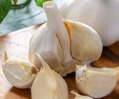 ਲਸਣ ਸਾਡੀ ਰਸੋਈ ਦਾ ਇੱਕ ਅਹਿਮ ਹਿੱਸਾ 