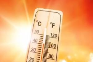 ਉੱਤਰ ਪ੍ਰਦੇਸ਼ ਵਿੱਚ ਗਰਮੀ ਦਾ ਕਹਿਰ ਸੱਚਮੁੱਚ ਚਿੰਤਾਜਨਕ ਪੱਧਰ 'ਤੇ ਪਹੁੰਚ ਗਿਆ ਹੈ