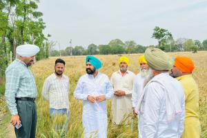  ਵਿਧਾਇਕ ਗੁਰਪ੍ਰੀਤ ਸਿੰਘ ਬਣਾਂਵਾਲੀ ਵੱਲੋਂ ਸਰਦੂਲਗੜ੍ਹ ਦੇ ਗੜੇਮਾਰੀ ਪ੍ਰਭਾਵਿਤ ਪਿੰਡਾਂ ਦਾ ਦੌਰਾ