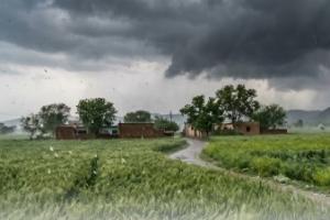 ਅੱਜ ਹਰਿਆਣਾ ਵਿੱਚ ਮੀਂਹ,ਗਰਜ ਅਤੇ ਗੜੇਮਾਰੀ ਦੀ ਸੰਭਾਵਨਾ ਹੈ,ਸਾਰੇ ਜ਼ਿਲ੍ਹਿਆਂ ਲਈ ਪੀਲਾ ਅਲਰਟ ਜਾਰੀ ਕੀਤਾ ਗਿਆ ਹੈ 