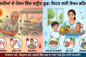 ਗਰਮੀਆਂ ਦੇ ਮੌਸਮ ਵਿੱਚ ਸਟ੍ਰੀਟ ਫੂਡ ਦਾ ਸੇਵਨ ਸਿਹਤ ਲਈ ਬਹੁਤ ਜ਼ਿਆਦਾ ਜੋਖਮ ਭਰਿਆ ਹੋ ਸਕਦਾ ਹੈ