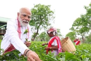 ਪ੍ਰਧਾਨ ਮੰਤਰੀ ਨਰਿੰਦਰ ਮੋਦੀ ਨੇ ਜਿਸ ਮਨੋਹਾਰੀ ਟੀ ਗਾਰਡਨ ਵਿੱਚੋਂ ਪੱਤੀਆਂ ਤੋੜੀਆਂ