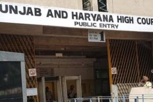 ਪੰਜਾਬ ਅਤੇ ਹਰਿਆਣਾ ਹਾਈ ਕੋਰਟ ਨੇ ਵਾਤਾਵਰਣ ਸੁਰੱਖਿਆ ਦੇ ਮੁੱਦੇ 'ਤੇ ਸਖ਼ਤ ਹੁਕਮ ਪਾਸ ਕੀਤਾ,ਹਰਿਆਣਾ ਵਿੱਚ ਰੁੱਖਾਂ ਦੀ ਕਟਾਈ 'ਤੇ ਤੁਰੰਤ ਪਾਬੰਦੀ ਲਗਾਈ