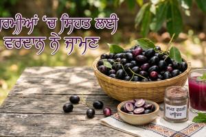 ਗਰਮੀਆਂ ‘ਚ ਸਿਹਤ ਲਈ ਵਰਦਾਨ ਨੇ ਜਾਮਣ