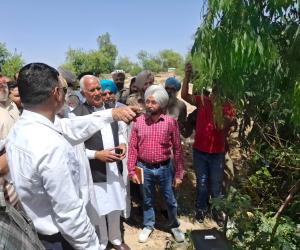 ਕੈਬਨਿਟ ਮੰਤਰੀ ਬਰਿੰਦਰ ਕੁਮਾਰ ਗੋਇਲ ਨੇ ਘੱਗਰ ਦਰਿਆ ਦੇ ਕਿਨਾਰਿਆਂ ਦੀ ਮਜ਼ਬੂਤੀ ਲਈ ਚੱਲ ਰਹੇ ਕਾਰਜਾਂ ਦਾ ਲਿਆ ਜਾਇਜ਼ਾ
